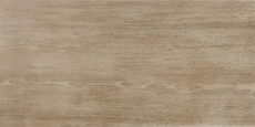 Natura 0013874 Betulla 30*60