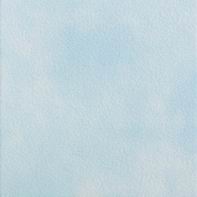 Aqua GAT1L010 19,7*19,7