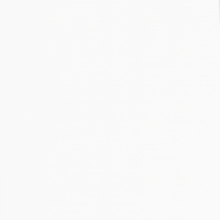 Absolut White