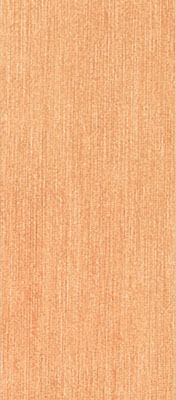 Breeze Orange 0013037 20*45