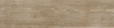 Natura 0013966 Betulla Nat. 15*60