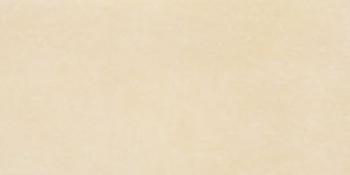 Dibelgio Neve 30*60