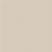 TAURUS COLOR TAA26010 SUPER WHITE 19,8*19,8 